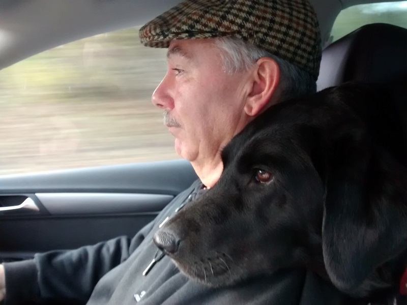 Dog and man driving