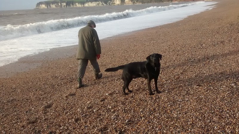 Murphy on the beach